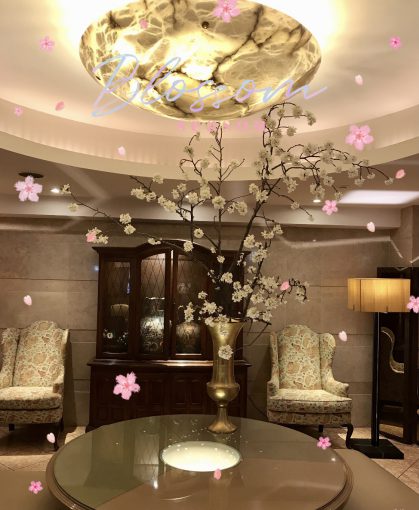 当ホテルで桜の季節♪